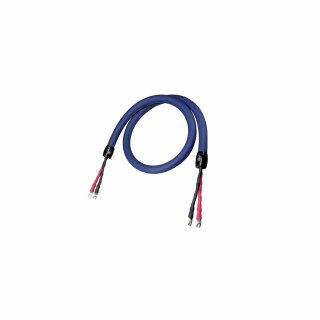 Cardas Audio Clear Beyond Speaker Kabel głośnikowy - 2.5m