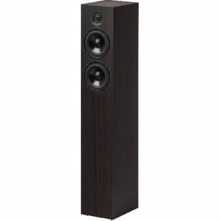 Pro-Ject Speaker Box 10 DS2 - eucalyptus