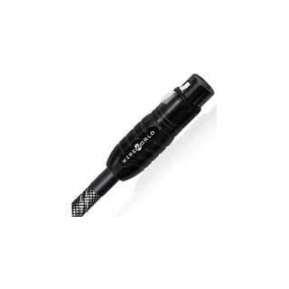 WIREWORLD PLATINUM STARLIGHT 8 (PSA) - 2 m