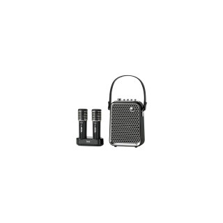 Divoom SongBird-HQ2 black - Przenośny głośnik Bluetooth z mikrofonami